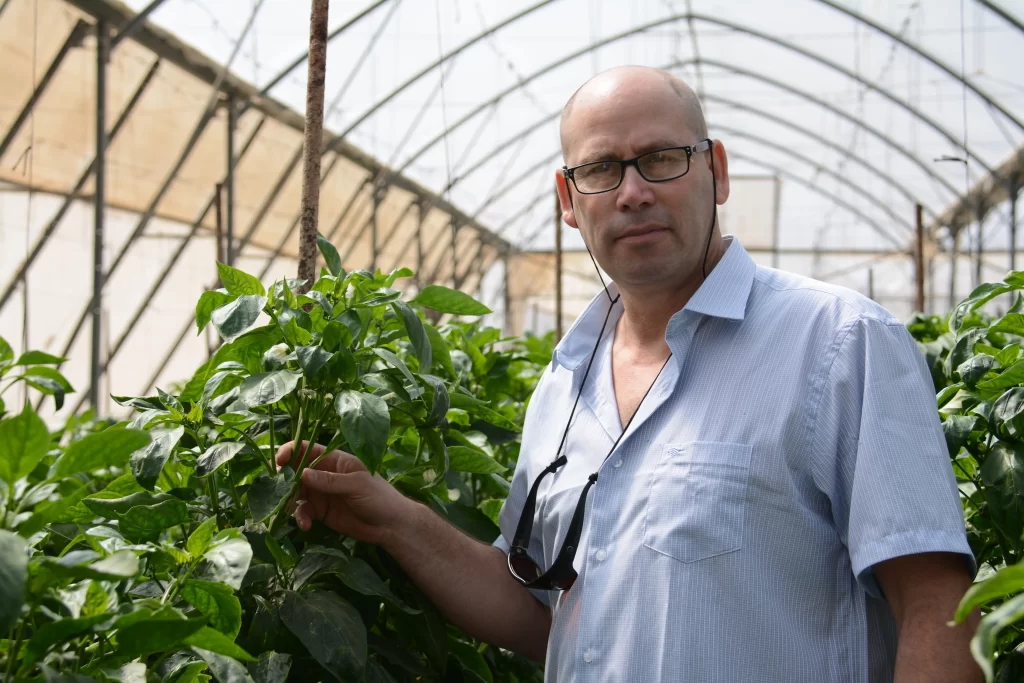 Amir Fox, Profit Agro, in a greenhouse